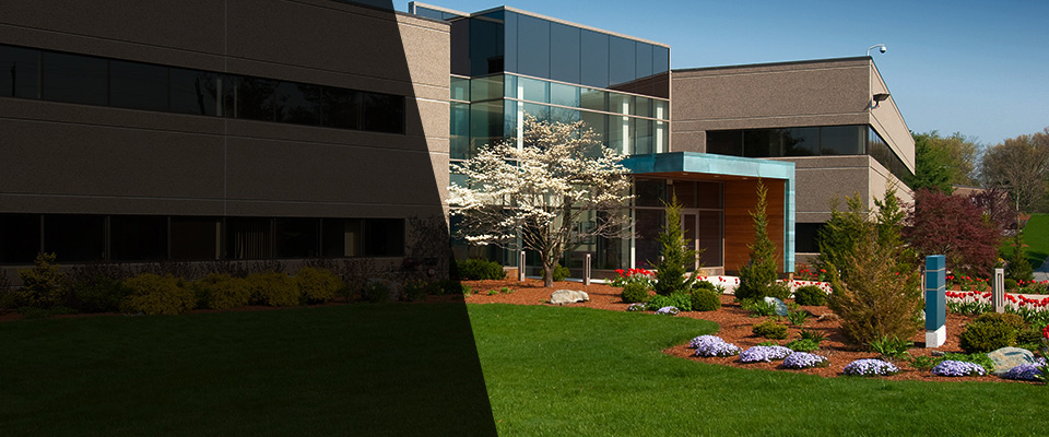 Richlands Landscapers