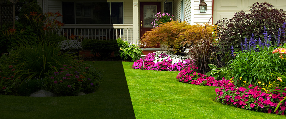 Richlands Landscapers